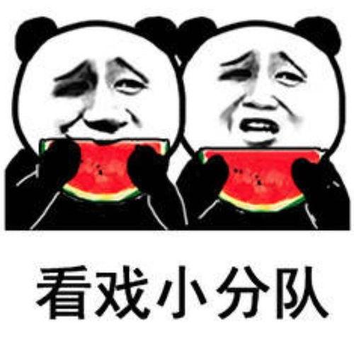 娱乐吃瓜表情图片可爱版,娱乐吃瓜表情可爱版大盘点